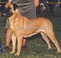 CH Blackslates Darling Dalilah 1