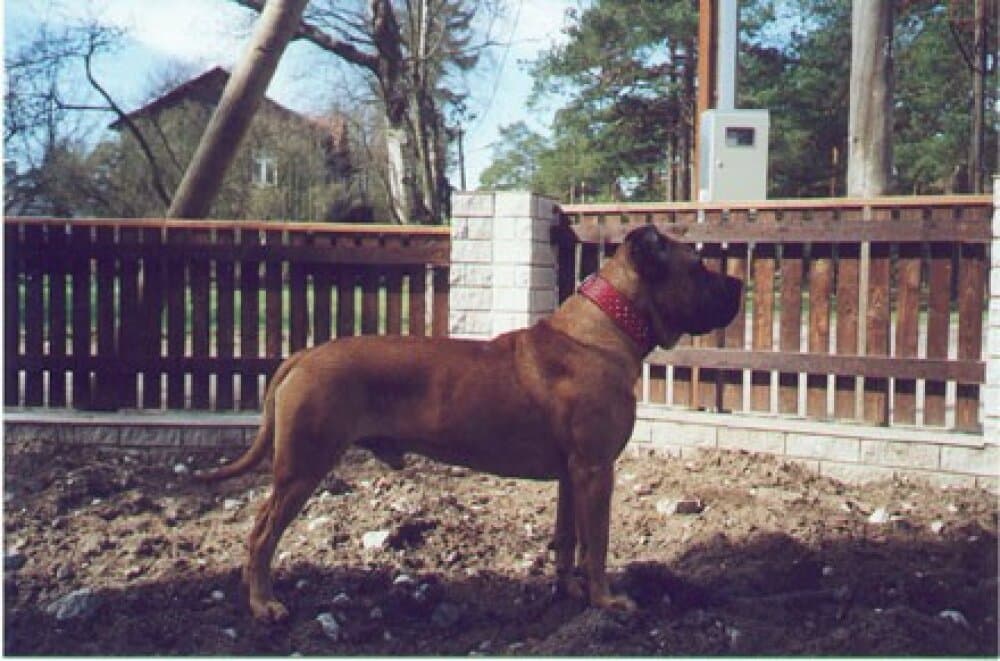 COLORADO DE GUADALCAN 1