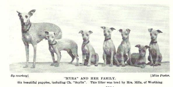 Myra 1