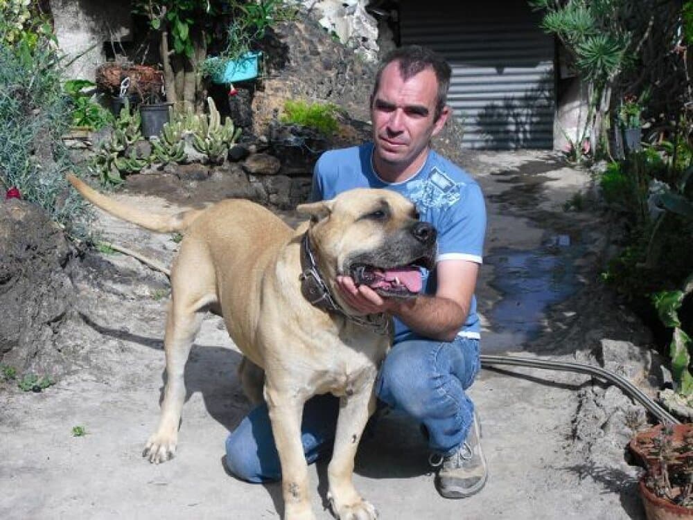 TAMARCO II DE CASA PANCHO 1