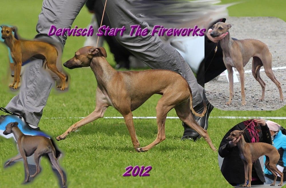 Dervisch Start The Fireworks 1