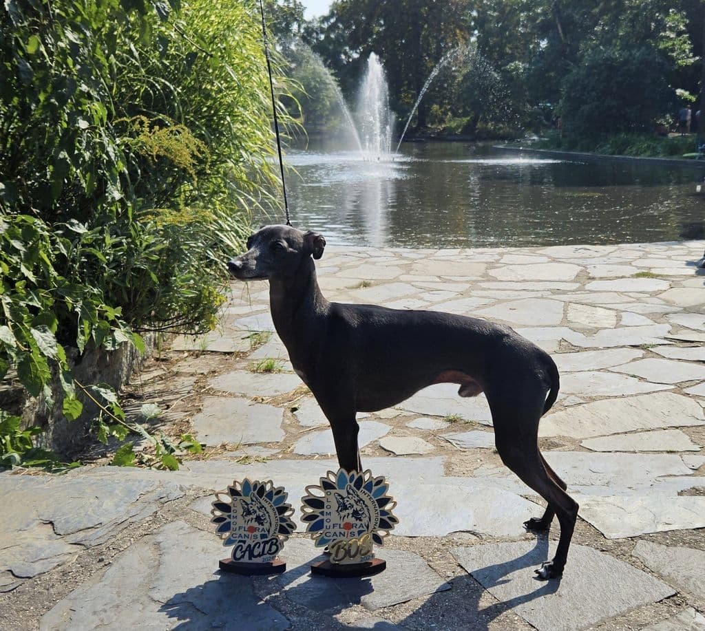 Royal Lady's Dogliani 1