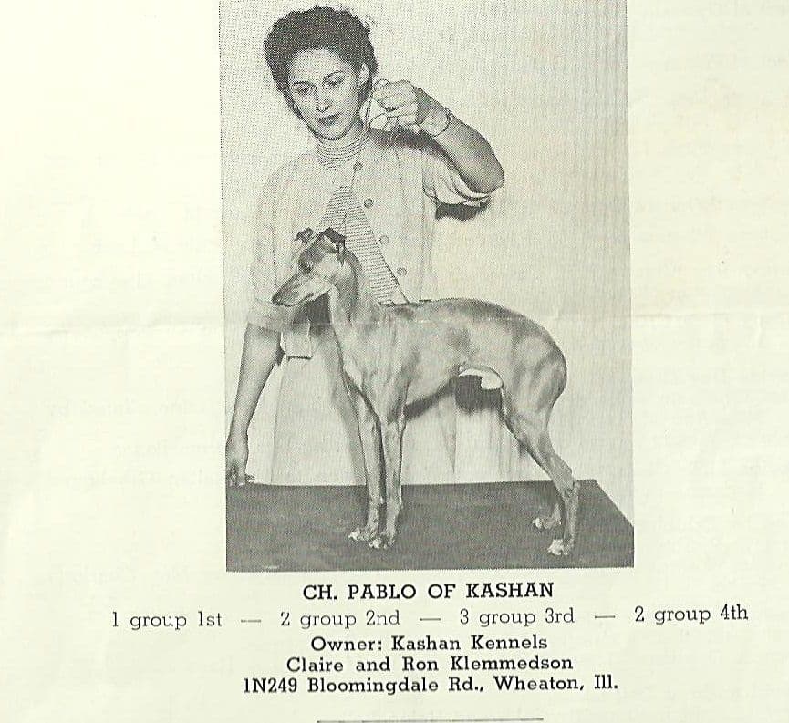 Pablo Of Kashan 1