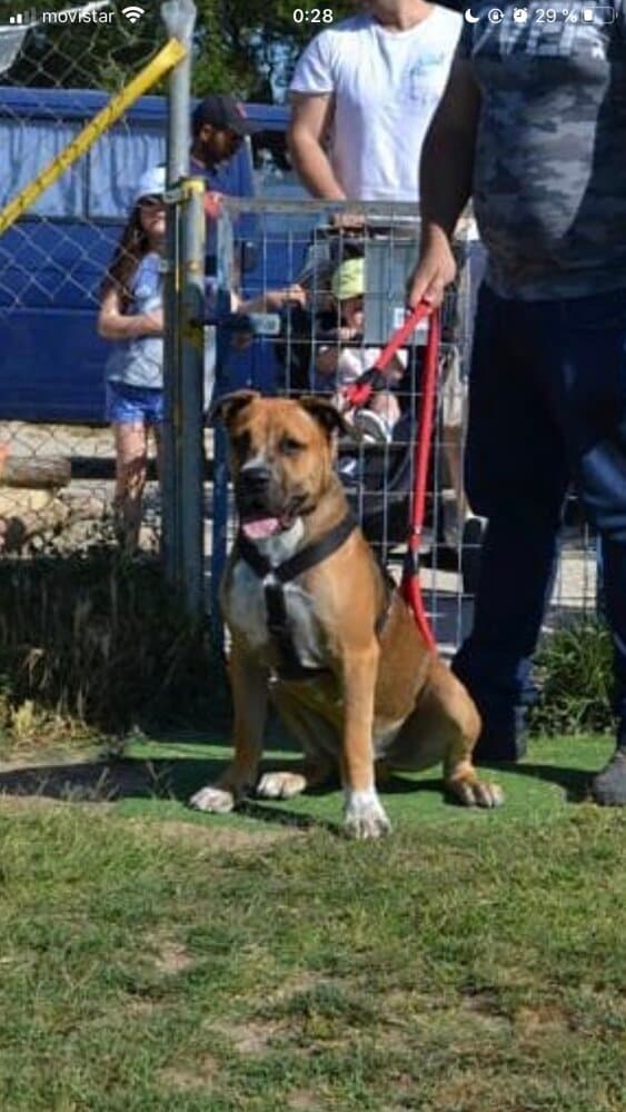 RAGNAR DE KING ZULU 1