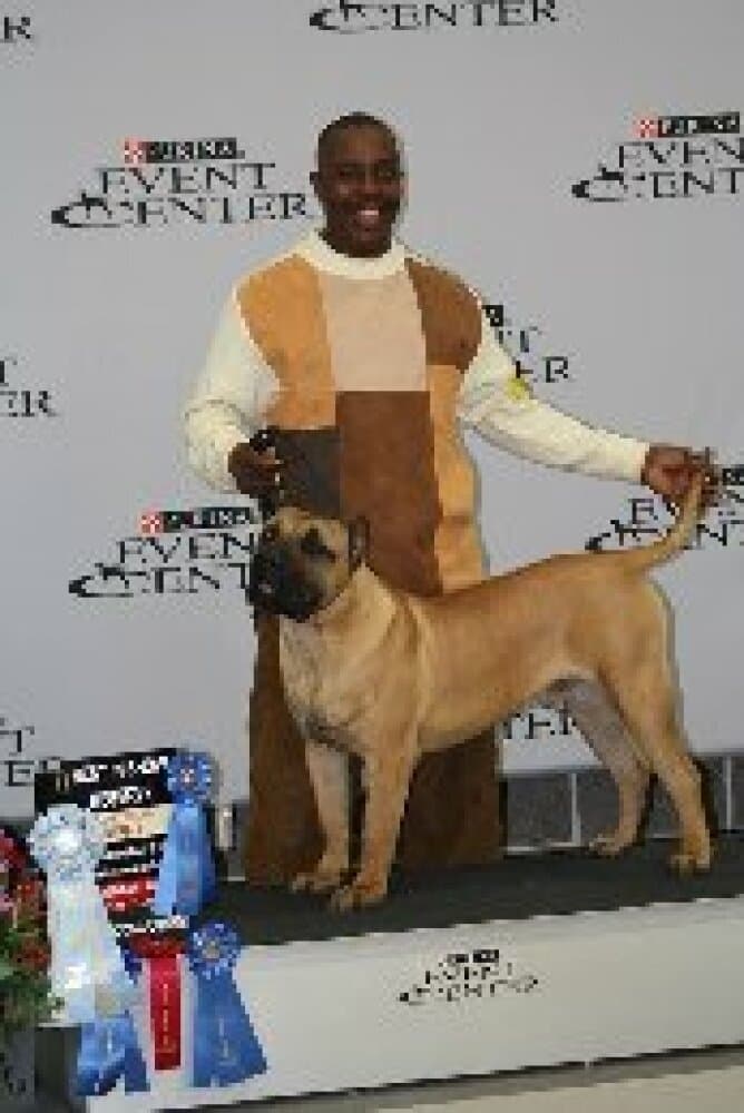 MID AMERICA K-9 BRIO 1
