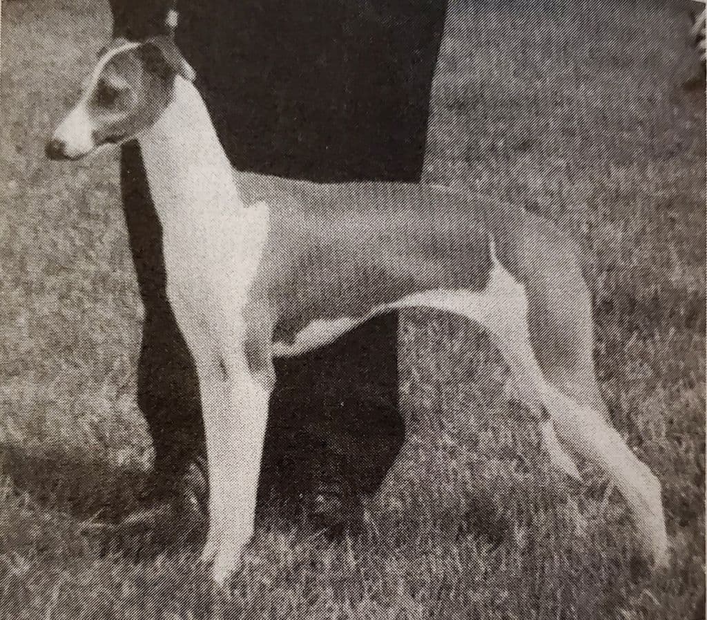 Windriver Ruby Tuesday 1
