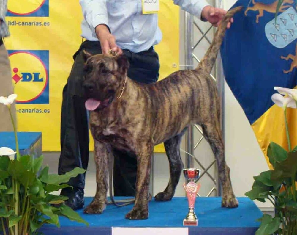 LUPE DE CRISDOCO 1