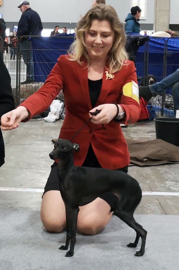 Il Cagnolino Lexia 1