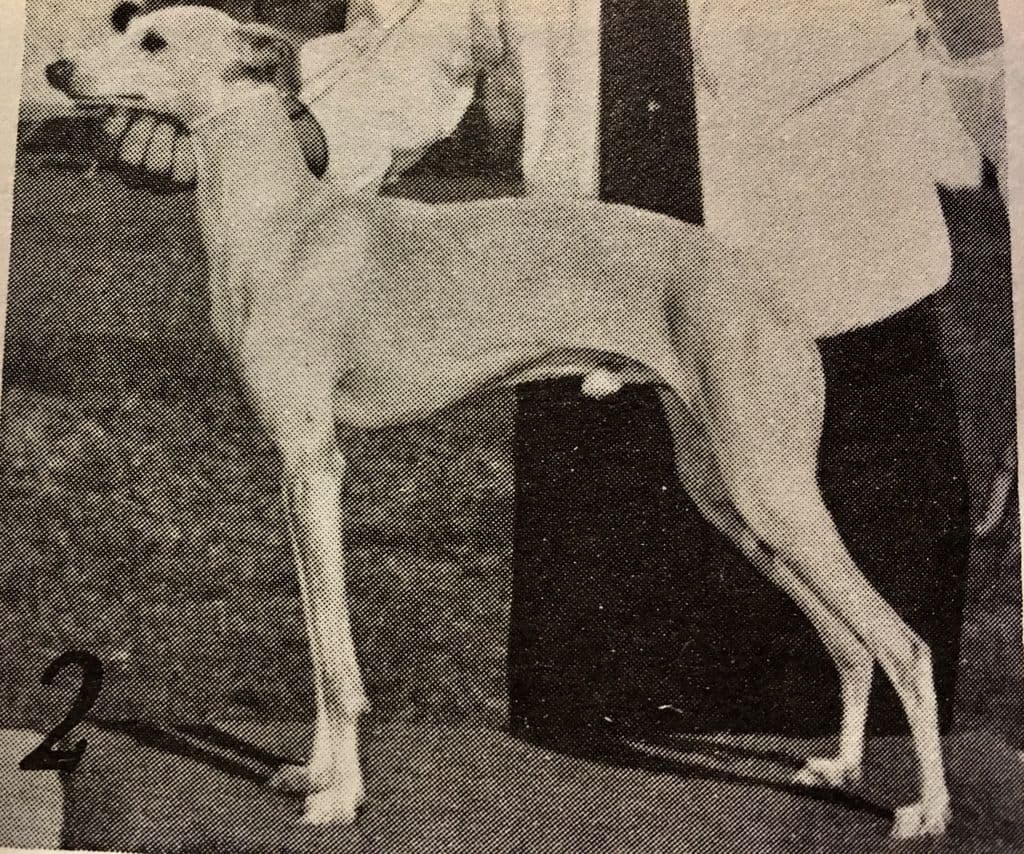 Bilair's Devil Wind 1