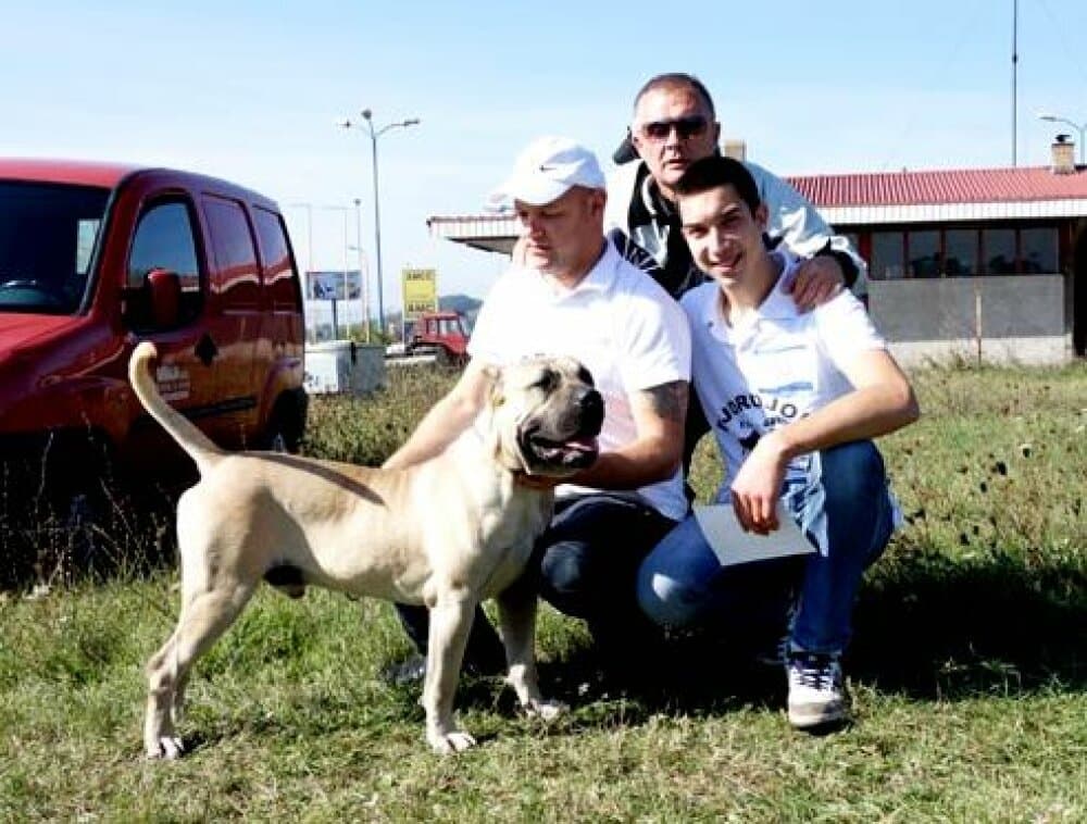 PABLO DJORDJONI 1