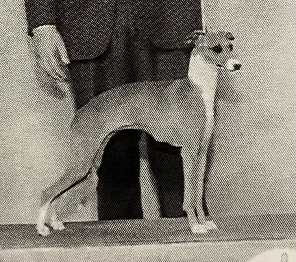 Bo-Bett's First Class 1