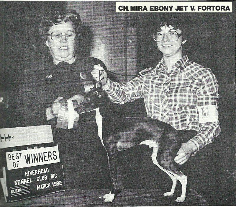 Mira Ebony Jet V Fortora 1