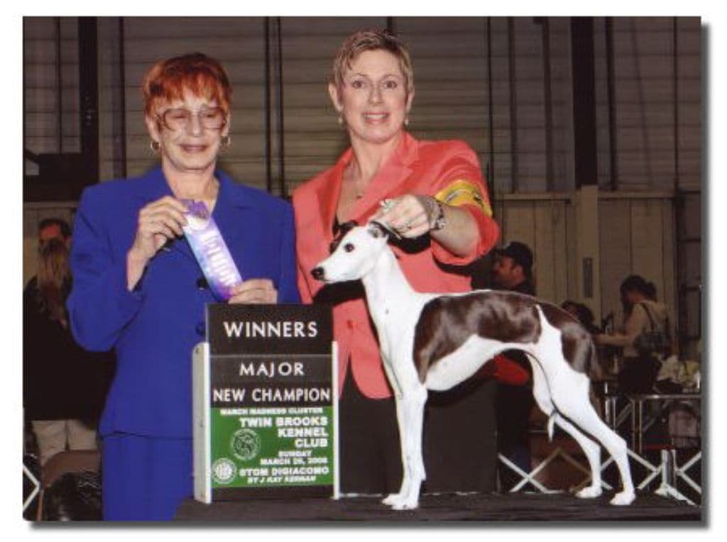Winsome Roxie's Got Moxie 1