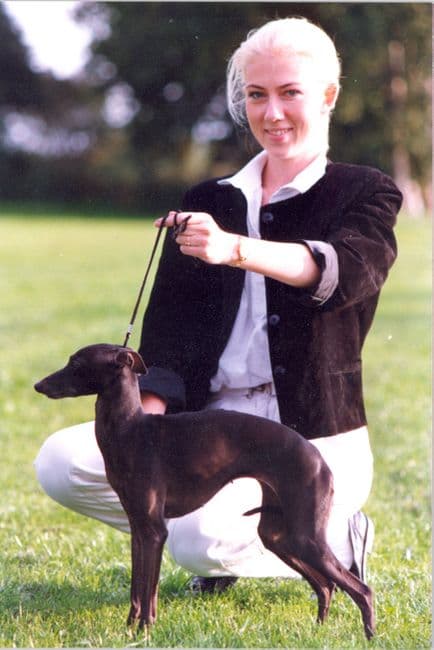 Il Cagnolino Angelica 1