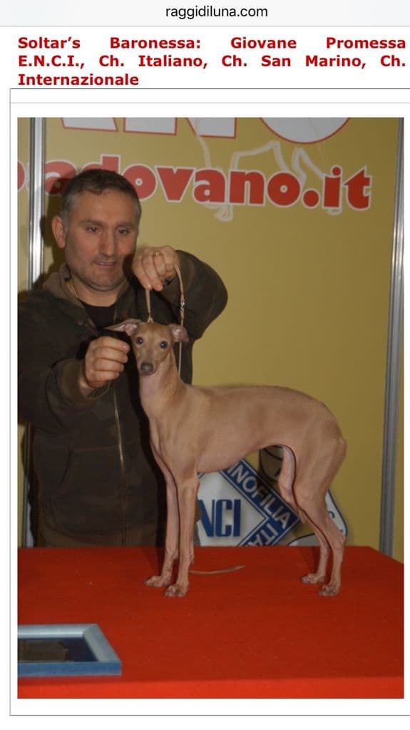 Soltar's Baronessa 1