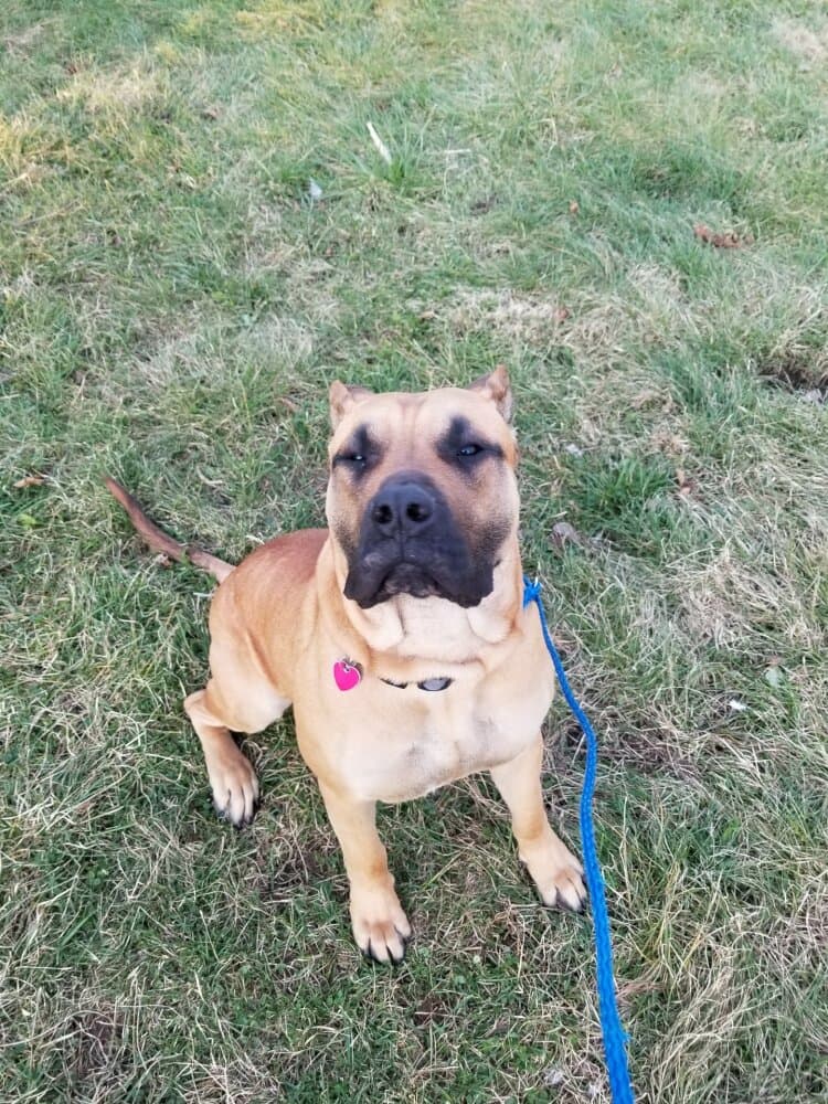 ZEKE OF THUNDER RIDGE 1