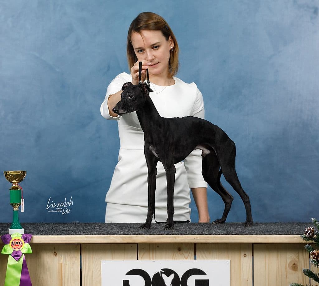 Grace Haund Dominic Black 1