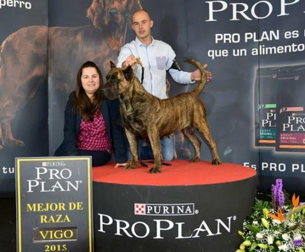 BILMA DE CRISDOCO 1