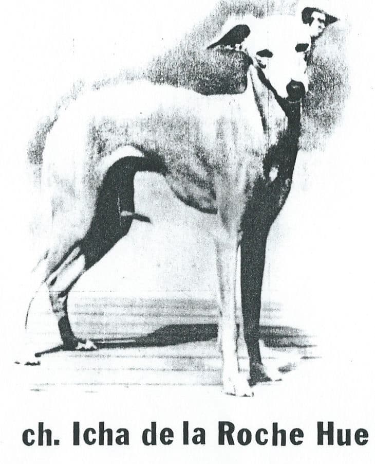 Icha De La Roche Hue 1