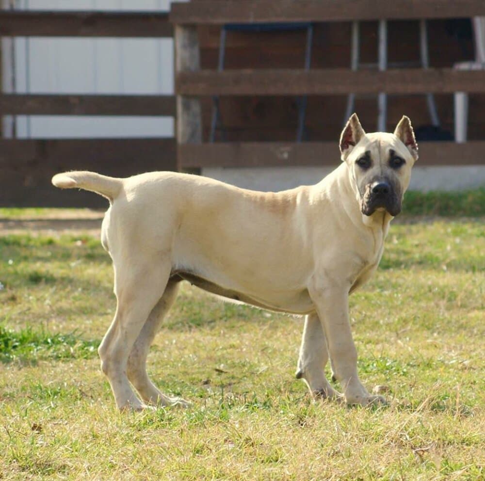 BRISA DE HORNOS DE CAL 1