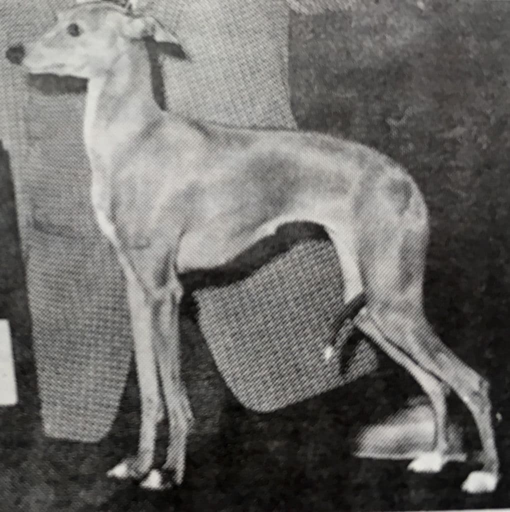 Dulcinea Di Robetti 1