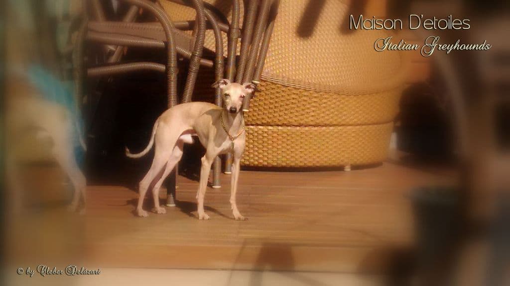 Maison D'etoiles Jeep Pli 1