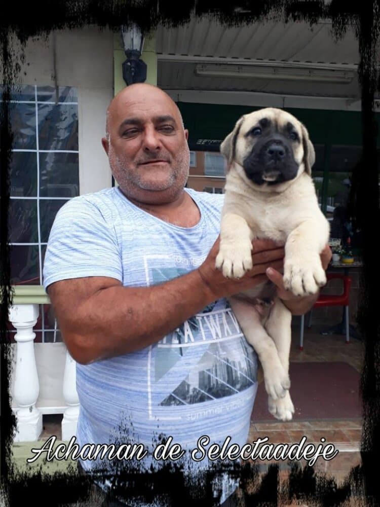 ACHAMAN DE SELECTA ADEJE 1