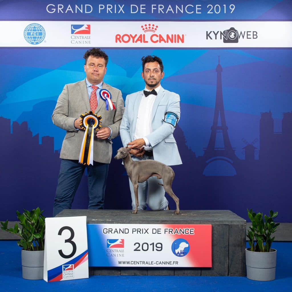 Oh Prince Albert De La Squadra D'Elite 1