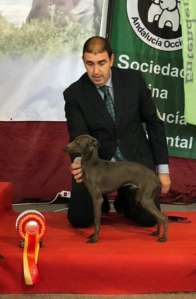 Faraon De Carboneros 1