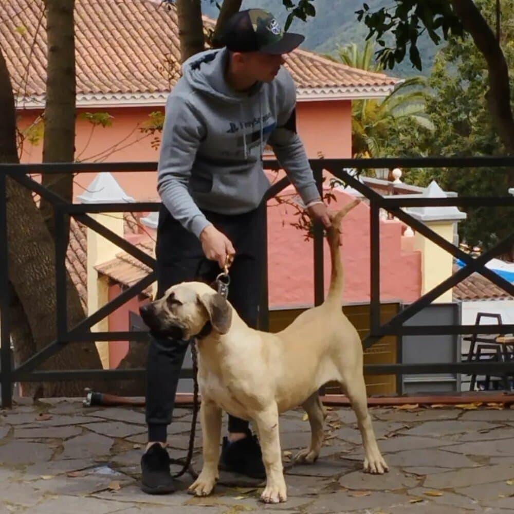 NAILA DE CRISDOCO 1