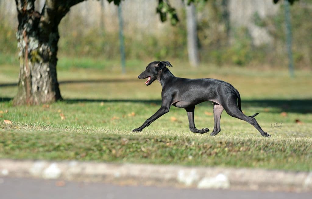 Paris En Bouteille De Magistris 1