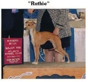 Bo-Bett's Ruthie Ricotta 1