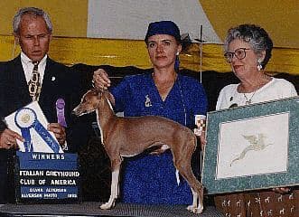 Jobi's Clinton De Tekoneva 1