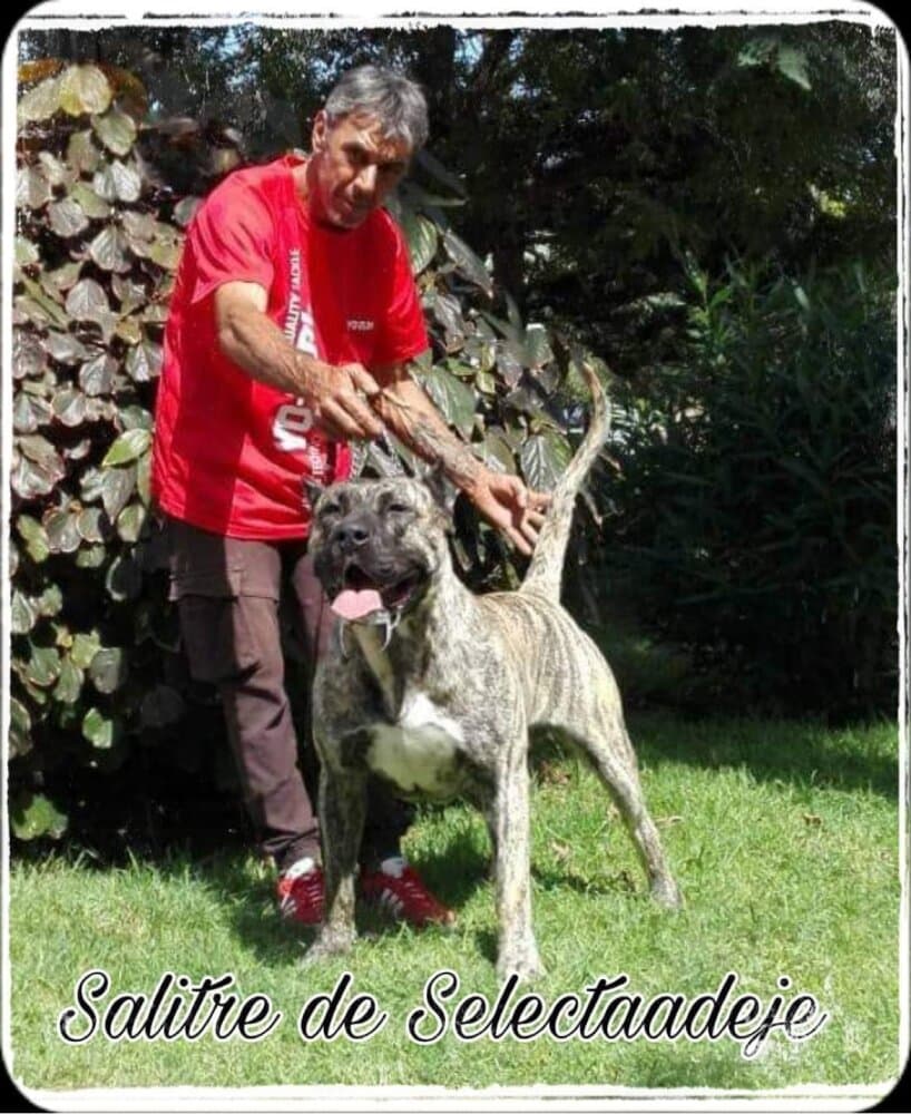 SALITRE DE SELECTA ADEJE 1