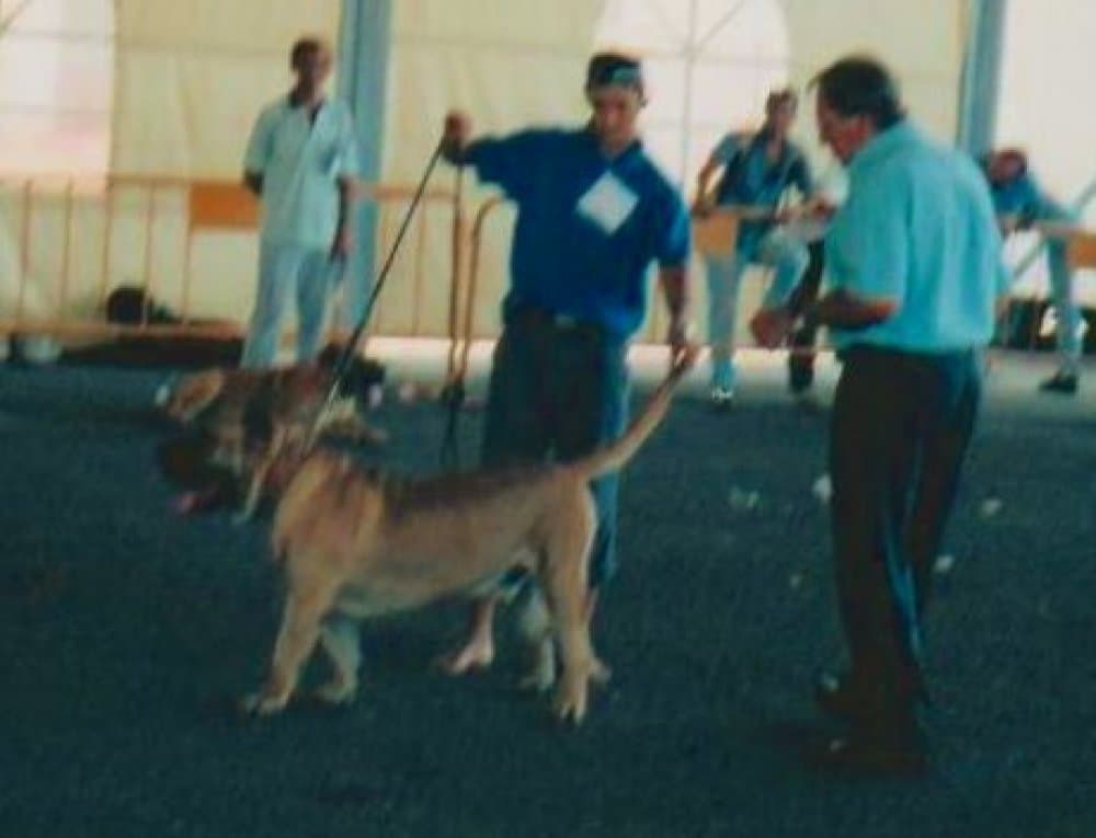 PANCHO DE CASA PANCHO 1