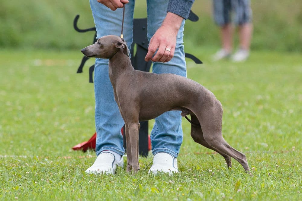 Soltar's F's Someone's Mind