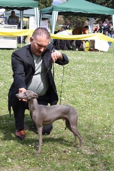 Ascanio Dei Raggi Di Luna 1