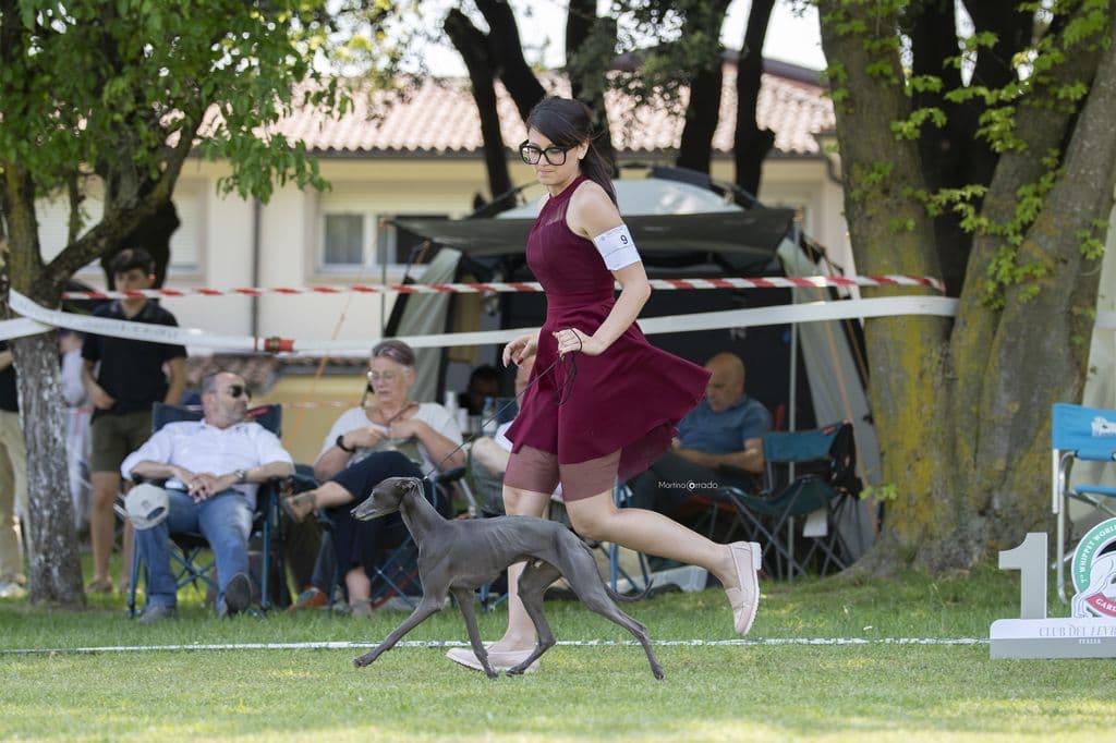 Ultra Diaboliko 1