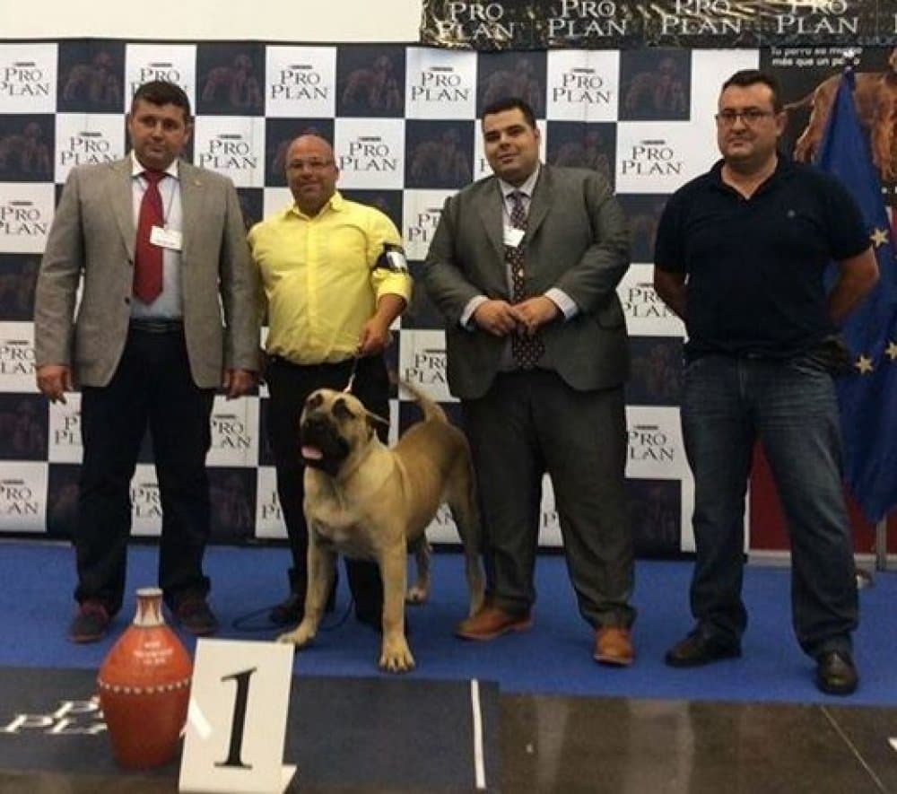 URCO DE CIELO DE CANARIAS 1