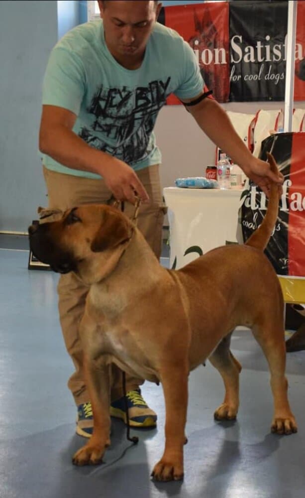 KIMA DE CIELO DE CANARIAS 1