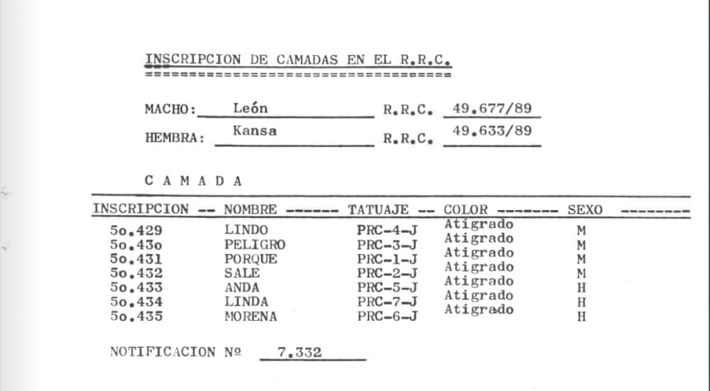SALE DE LOS ENANOS 1