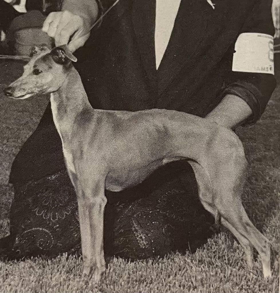 La Scala Leontyne Of Tucker 1