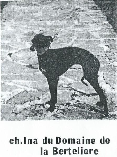 Ina Du Domaine De La Bertelière 1