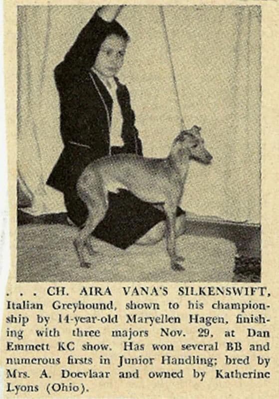Aira Vana's Silkenswift 1