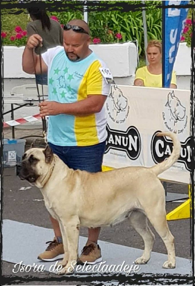 CHALANA I DE SELECTA ADEJE 1