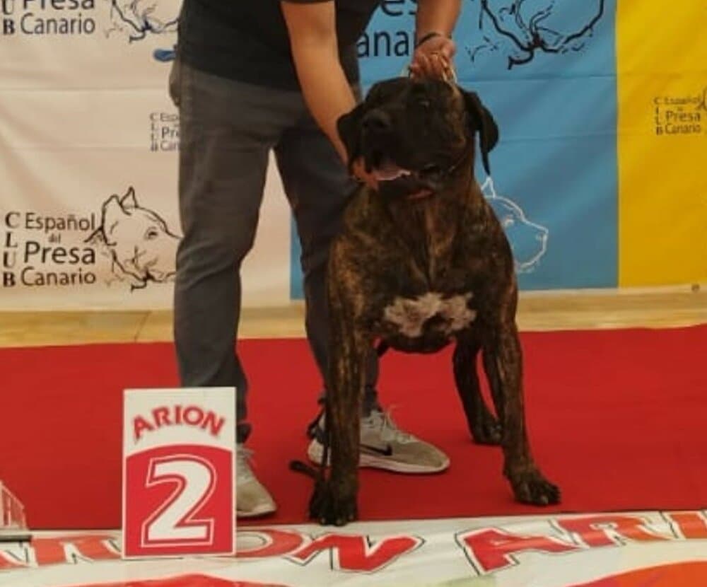 ARGUAL DE PRESAS DE ARIGONA 1