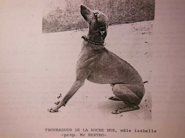 Troubadour De La Roche Hue 1