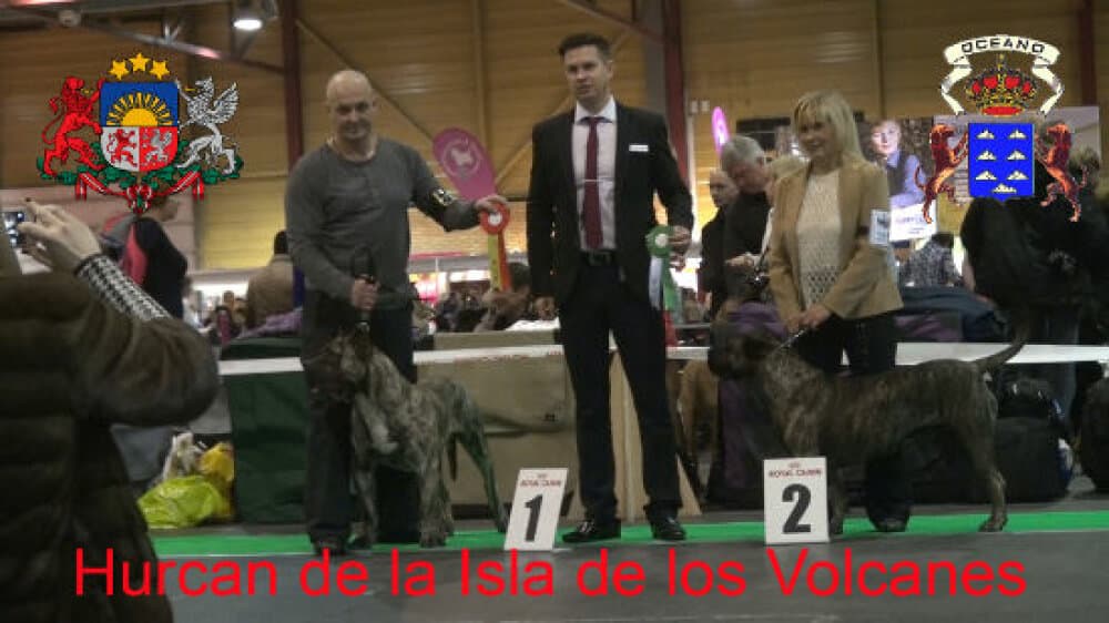 HURKAN DE LA ISLA DE LOS VOLCANES 1