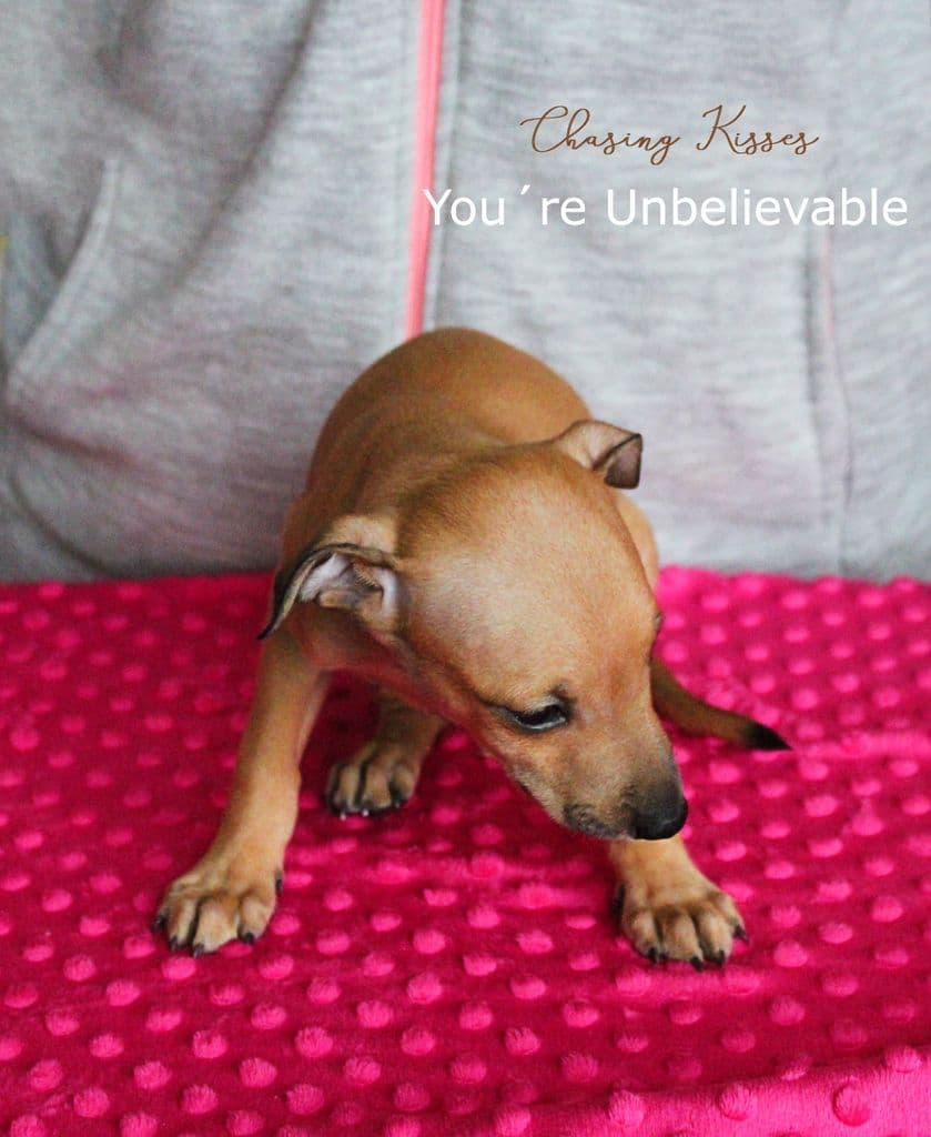 Chasing Kisses You´re Unbelievable 1