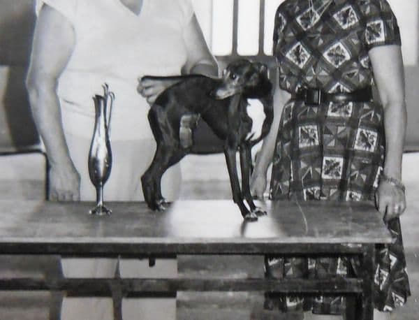 Japhet De La Grande Palle 1